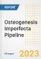 Osteogenesis Imperfecta Pipeline Report, 2023 - Planned Drugs by Phase, Mechanism of Action, Route of Administration, Type of Molecule, Market Trends, Developments, and Companies - Product Image