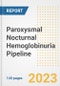 Paroxysmal Nocturnal Hemoglobinuria Pipeline Report, 2023 - Planned Drugs by Phase, Mechanism of Action, Route of Administration, Type of Molecule, Market Trends, Developments, and Companies - Product Image