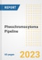Pheochromocytoma Pipeline Report, 2023 - Planned Drugs by Phase, Mechanism of Action, Route of Administration, Type of Molecule, Market Trends, Developments, and Companies - Product Image