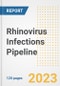 Rhinovirus Infections Pipeline Report, 2023 - Planned Drugs by Phase, Mechanism of Action, Route of Administration, Type of Molecule, Market Trends, Developments, and Companies - Product Image