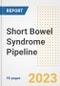 Short Bowel Syndrome Pipeline Report, 2023 - Planned Drugs by Phase, Mechanism of Action, Route of Administration, Type of Molecule, Market Trends, Developments, and Companies - Product Image