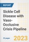 Sickle Cell Disease with Vaso-Occlusive Crisis Pipeline Report, 2023 - Planned Drugs by Phase, Mechanism of Action, Route of Administration, Type of Molecule, Market Trends, Developments, and Companies - Product Image