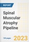 Spinal Muscular Atrophy (SMA) Pipeline Report, 2023 - Planned Drugs by Phase, Mechanism of Action, Route of Administration, Type of Molecule, Market Trends, Developments, and Companies - Product Image