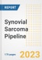 Synovial Sarcoma Pipeline Report, 2023 - Planned Drugs by Phase, Mechanism of Action, Route of Administration, Type of Molecule, Market Trends, Developments, and Companies - Product Image