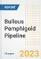 Bullous Pemphigoid Pipeline Report, 2023 - Planned Drugs by Phase, Mechanism of Action, Route of Administration, Type of Molecule, Market Trends, Developments, and Companies - Product Image