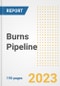 Burns Pipeline Report, 2023 - Planned Drugs by Phase, Mechanism of Action, Route of Administration, Type of Molecule, Market Trends, Developments, and Companies - Product Image
