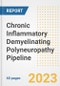 Chronic Inflammatory Demyelinating Polyneuropathy (CIDP) Pipeline Report, 2023 - Planned Drugs by Phase, Mechanism of Action, Route of Administration, Type of Molecule, Market Trends, Developments, and Companies - Product Image