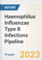 Haemophilus Influenzae Type B Infections Pipeline Report, 2023 - Planned Drugs by Phase, Mechanism of Action, Route of Administration, Type of Molecule, Market Trends, Developments, and Companies - Product Image