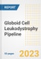 Globoid Cell Leukodystrophy (Krabbe Disease) Pipeline Report, 2023 - Planned Drugs by Phase, Mechanism of Action, Route of Administration, Type of Molecule, Market Trends, Developments, and Companies - Product Image