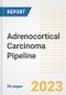 Adrenocortical Carcinoma (Adrenal Cortex Cancer) Pipeline Report, 2023 - Planned Drugs by Phase, Mechanism of Action, Route of Administration, Type of Molecule, Market Trends, Developments, and Companies - Product Image