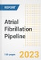 Atrial Fibrillation Pipeline Report, 2023 - Planned Drugs by Phase, Mechanism of Action, Route of Administration, Type of Molecule, Market Trends, Developments, and Companies - Product Image