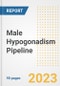 Male Hypogonadism Pipeline Report, 2023 - Planned Drugs by Phase, Mechanism of Action, Route of Administration, Type of Molecule, Market Trends, Developments, and Companies - Product Image