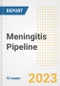 Meningitis Pipeline Report, 2023 - Planned Drugs by Phase, Mechanism of Action, Route of Administration, Type of Molecule, Market Trends, Developments, and Companies - Product Image