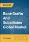 Bone Grafts And Substitutes Global Market Opportunities And Strategies To 2032 - Product Image