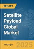 Satellite Payload Global Market Report 2025- Product Image
