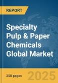Specialty Pulp & Paper Chemicals Global Market Report 2025- Product Image