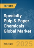 Specialty Pulp & Paper Chemicals Global Market Report 2024- Product Image