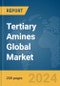Tertiary Amines Global Market Report 2024 - Product Thumbnail Image