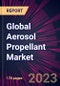 Global Aerosol Propellant Market 2023-2027 - Product Thumbnail Image
