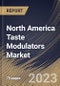 North America Taste Modulators Market Size, Share & Industry Trends Analysis Report By Type, By Application, By Country and Growth Forecast, 2022-2028 - Product Thumbnail Image