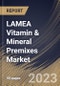 LAMEA Vitamin & Mineral Premixes Market Size, Share & Industry Trends Analysis Report By Type, By Form, By Application, By Country and Growth Forecast, 2022-2028 - Product Thumbnail Image