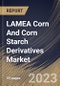 LAMEA Corn And Corn Starch Derivatives Market Size, Share & Industry Trends Analysis Report By Product, By Application, By Country and Growth Forecast, 2022-2028 - Product Image