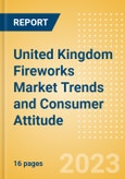 United Kingdom (UK) Fireworks Market Trends and Consumer Attitude - Analyzing Buying Dynamics and Motivation, Channel Usage, Spending and Retailer Selection- Product Image