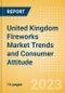United Kingdom (UK) Fireworks Market Trends and Consumer Attitude - Analyzing Buying Dynamics and Motivation, Channel Usage, Spending and Retailer Selection - Product Thumbnail Image