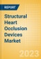 Structural Heart Occlusion Devices Market Size by Segments, Share, Regulatory, Reimbursement, Procedures and Forecast to 2033 - Product Image