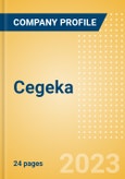 Cegeka - Digital Transformation Strategies- Product Image