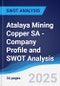Atalaya Mining Copper SA - Company Profile and SWOT Analysis - Product Thumbnail Image