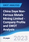 China Daye Non-Ferrous Metals Mining Limited - Company Profile and SWOT Analysis - Product Thumbnail Image