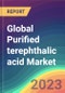 Global Purified terephthalic acid (PTA) Market Analysis: Plant Capacity, Production, Operating Efficiency, Demand & Supply, End-User Industries, Sales Channel, Regional Demand, Foreign Trade, Company Share, 2015-2032 - Product Image