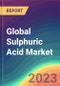 Global Sulphuric Acid Market Analysis: Plant Capacity, Production, Operating Efficiency, Demand & Supply, End-User Industries, Sales Channel, Regional Demand, Foreign Trade, Company Share, 2015-2030 - Product Image