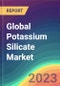 Global Potassium Silicate Market Analysis: Demand & Supply, End-User Demand, Distribution Channel, Regional Demand, 2015-2035 - Product Image