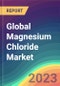 Global Magnesium Chloride Market Analysis: Plant Capacity, Production, Operating Efficiency, Demand & Supply, End-User Industries, Sales Channel, Regional Demand, Company Share, Foreign Trade, 2015-2035 - Product Image