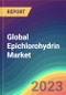 Global Epichlorohydrin Market Analysis: Plant Capacity, Production, Process, Technology, Operating Efficiency, Demand & Supply, End-Use, Foreign Trade, Sales Channel, Regional Demand, Company Share, 2015-2030 - Product Image