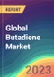 Global Butadiene Market Analysis: Plant Capacity, Production, Operating Efficiency, Demand & Supply, End-User Industries, Sales Channel, Regional Demand, Company Share, Foreign Trade, 2015-2035 - Product Image