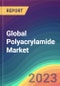 Global Polyacrylamide (PAM) Market Analysis: Plant Capacity, Production, Operating Efficiency, Demand & Supply, End-User Industries, Sales Channel, Regional Demand, Company Share, 2015-2032 - Product Image