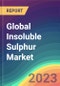 Global Insoluble Sulphur Market Analysis: Plant Capacity, Operating Efficiency, Process, Demand & Supply, End-Use, Grade, Sales Channel, Regional Demand, Foreign Trade, Company Share, 2015-2030 - Product Image