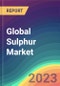 Global Sulphur Market Analysis: Plant Capacity, Production, Operating Efficiency, Demand & Supply, End-Use, Foreign Trade, Sales Channel, Regional Demand, Company Share, 2015-2032 - Product Image