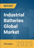 Industrial Batteries Global Market Report 2025- Product Image