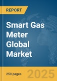 Smart Gas Meter Global Market Report 2024- Product Image