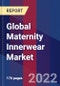 Global Maternity Innerwear Market By Product Type, By Product Pricing, By Distribution Channel, By Geographic Scope And Forecast - Product Thumbnail Image