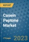 Casein Peptone Market Size Outlook and Opportunities Beyond 2023 - Market Share, Growth, Trends, Insights, Companies, and Countries to 2030 - Product Image