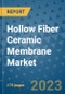 Hollow Fiber Ceramic Membrane Market Size Outlook and Opportunities Beyond 2023 - Market Share, Growth, Trends, Insights, Companies, and Countries to 2030 - Product Image