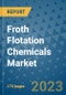 Froth Flotation Chemicals Market Size Outlook and Opportunities Beyond 2023- Market Share, Growth, Trends, Insights, Companies, and Countries to 2030 - Product Image