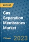 Gas Separation Membranes Market Size Outlook and Opportunities Beyond 2023- Market Share, Growth, Trends, Insights, Companies, and Countries to 2030 - Product Image