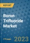 Boron Trifluoride Market Size Outlook and Opportunities Beyond 2023- Market Share, Growth, Trends, Insights, Companies, and Countries to 2030 - Product Image