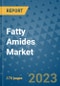 Fatty Amides Market Size Outlook and Opportunities Beyond 2023 - Market Share, Growth, Trends, Insights, Companies, and Countries to 2030 - Product Image